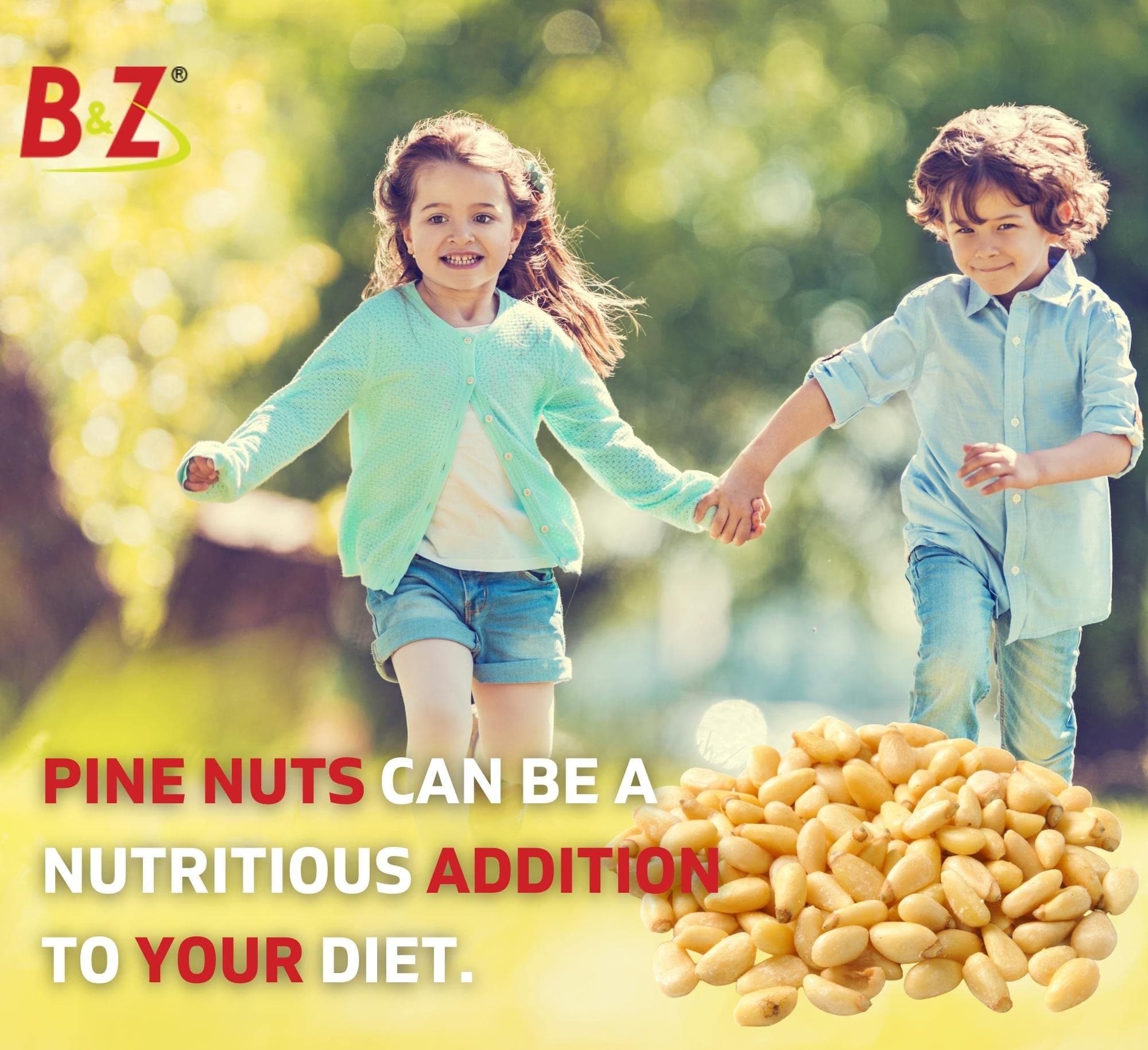 B&Z Pine Nuts (Chilgoza) Premium Quality Organic Pine Nuts Whole Pine from Pakistan, Pine Nuts in Shell, Pine Nuts Organic (Roasted Pine nuts 200 Gram) - Image 5